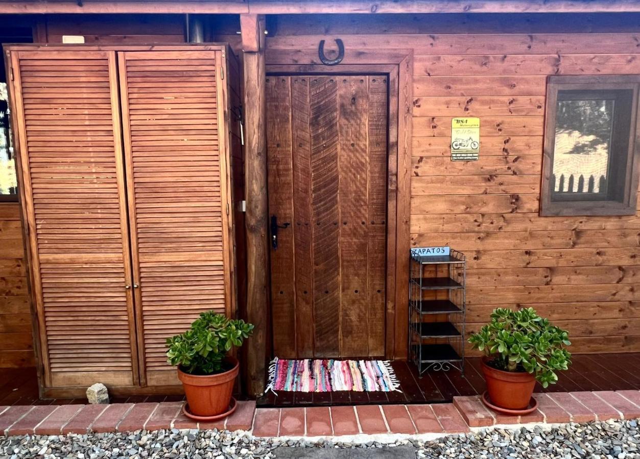 Amer Rustic Cabin In The Woods/Cabana En El Bosque מראה חיצוני תמונה