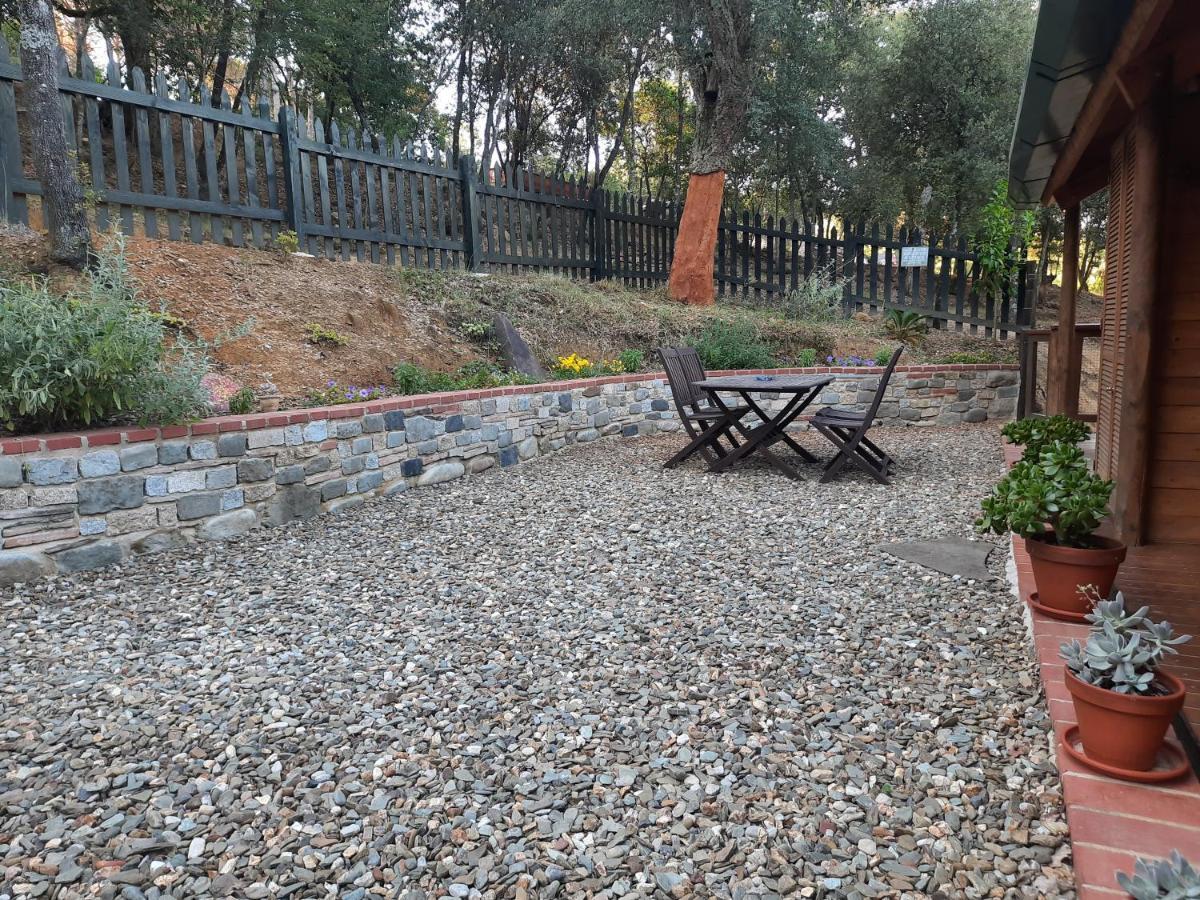 Amer Rustic Cabin In The Woods/Cabana En El Bosque מראה חיצוני תמונה